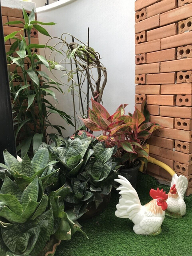Others 5, Villa Thai Orchid - Adults Only, Muang Chiang Mai