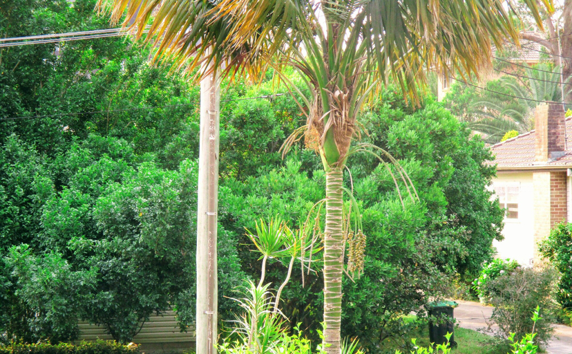 Others 5, Gosford Palms Motor Inn, Gosford - West