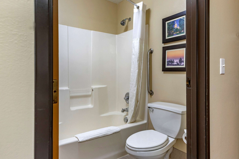 Bathroom 4, Comfort Inn & Suites Diamondale – Lansing, Eaton