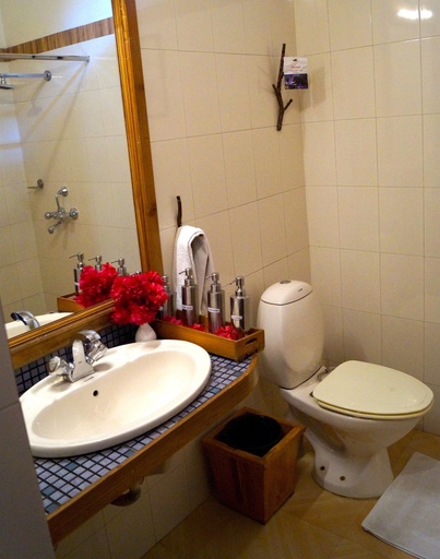 Bathroom 5, The Den, Nainital