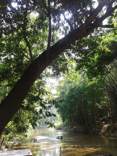 Others 4, Bibury Resort, Suan Phung