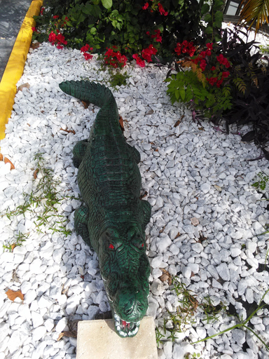 Others 5, Merida Inn and Suites, Saint Johns