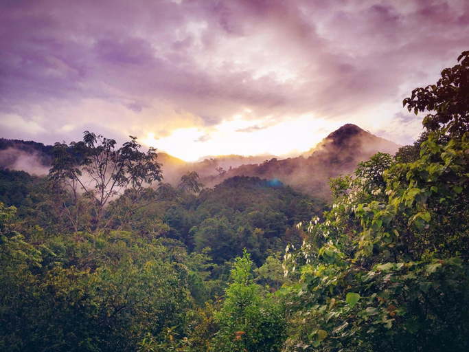 Others 5, Paradise Wild Hills, Shimoga