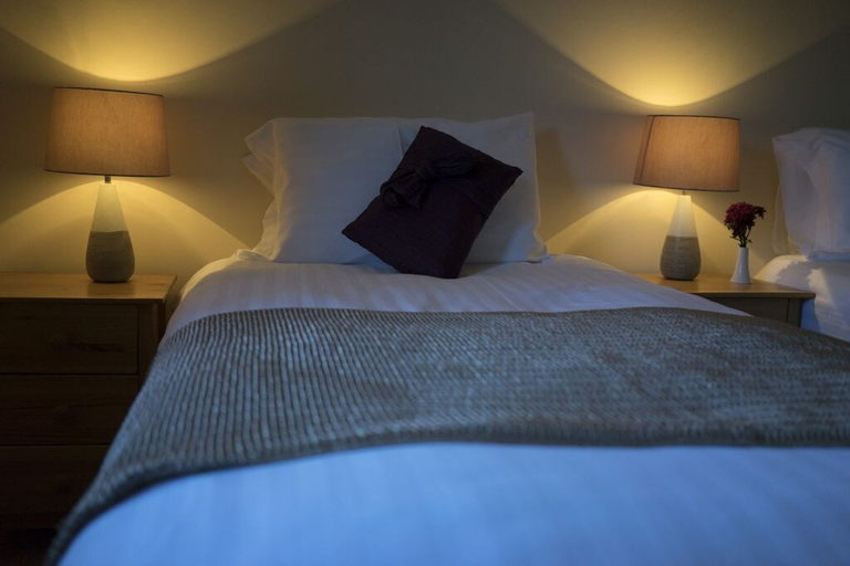 Bedroom 2, Roast Ox Inn, Powys