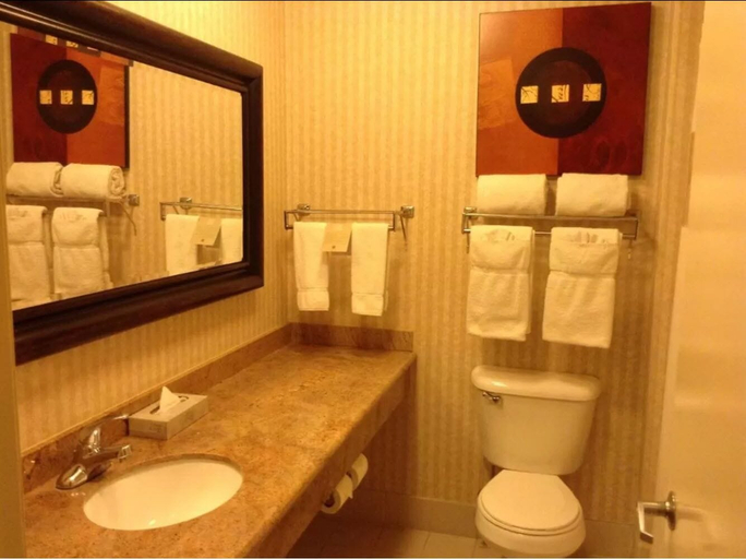 Bathroom 5, Borrego Springs Resort & Spa, San Diego