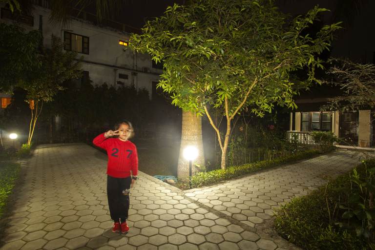 Exterior & Views 2, Sauraha Resort, Narayani