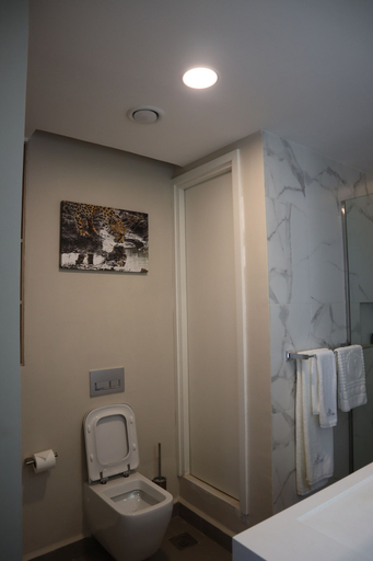 Bathroom 4, The Curve by the Park Apartments, Langata