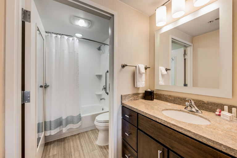 Bathroom 4, TownePlace Suites by Marriott Ann Arbor, Washtenaw