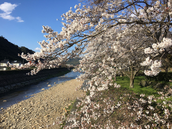 Others 4, Minsyuku Satoyama, Tsuwano