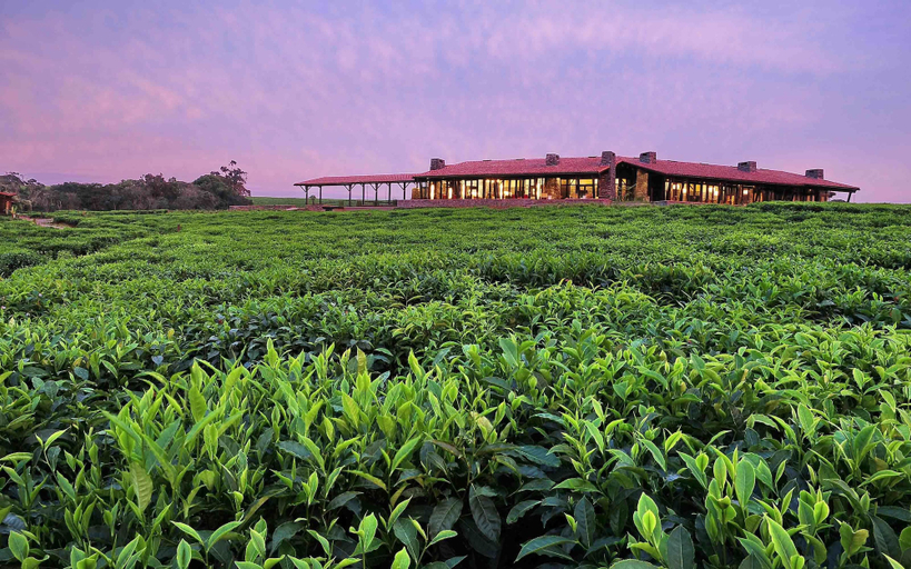 Exterior & Views 2, One&Only Nyungwe House, Nyamasheke