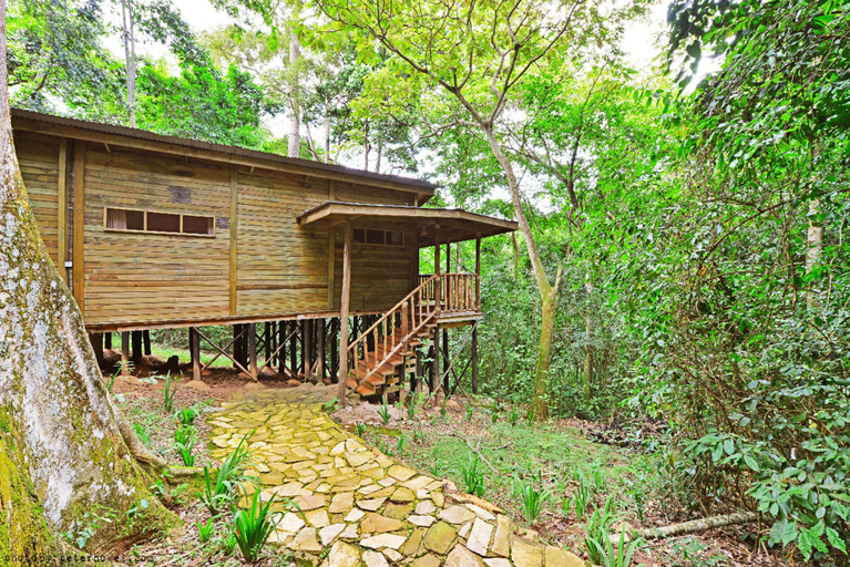 Exterior & Views 2, The Rainforest Geo Lodge, Buikwe