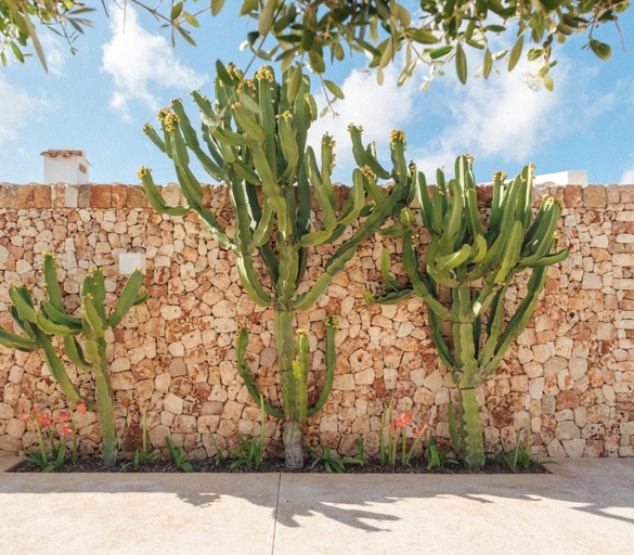Exterior & Views 2, Agroturismo Ses Talaies, Baleares