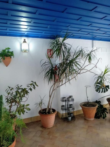 Others 5, Wish-Suite Juderia de Sevilla Apartment, Sevilla