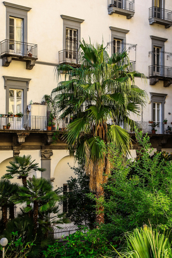 Exterior & Views 2, Well Come Cultura - Museo Progetto Culturale, Napoli