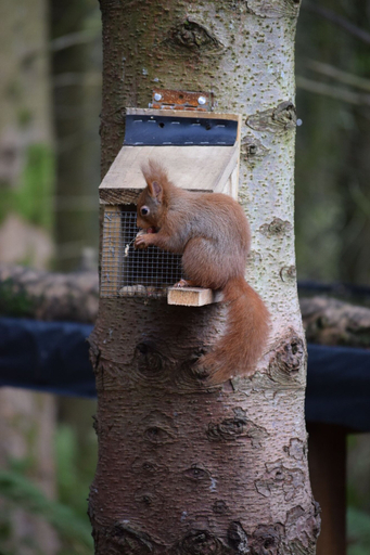 Others 3, Woodlyn Guest House, Dumfries and Galloway