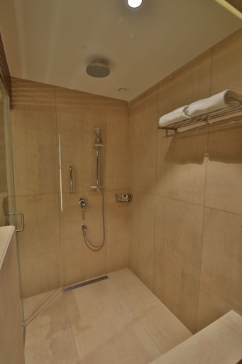 Bathroom 5, Sayaji Rajkot, Rajkot