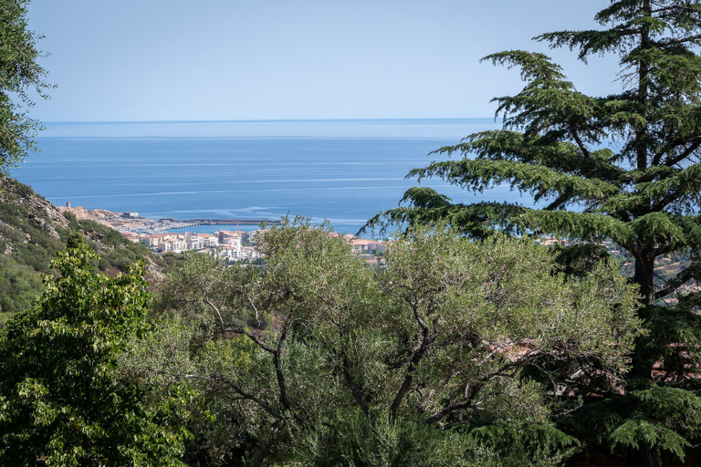 Others 5, RESIDENCE U MANELLU, Haute-Corse