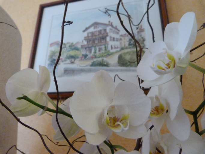 Bedroom 2, Hôtel Bel Air, Pyrénées-Atlantiques