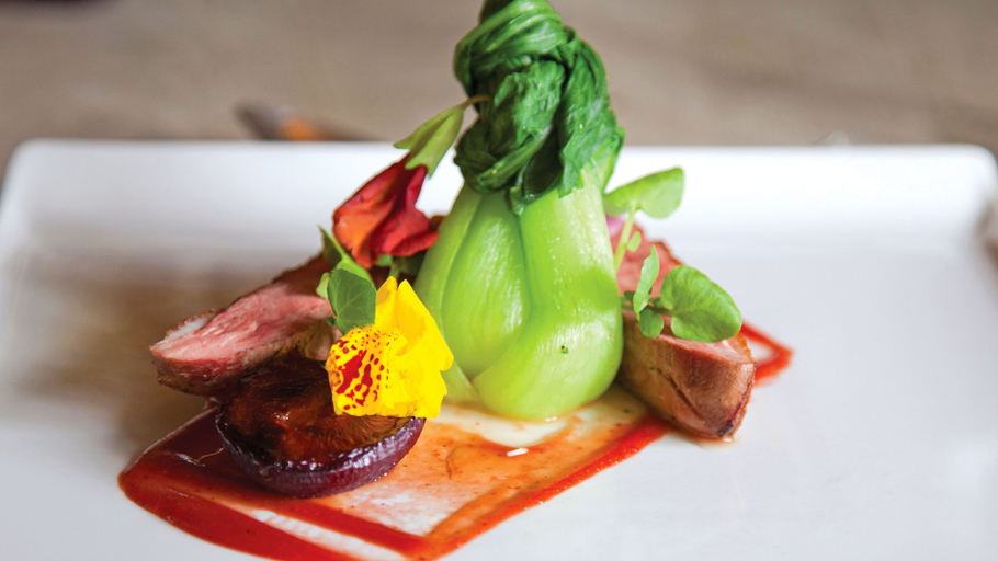 Food & Drinks 5, Dartington Hall Hotel, Devon