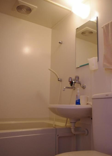Bathroom 3, Sunny Side Hut, Hakuba