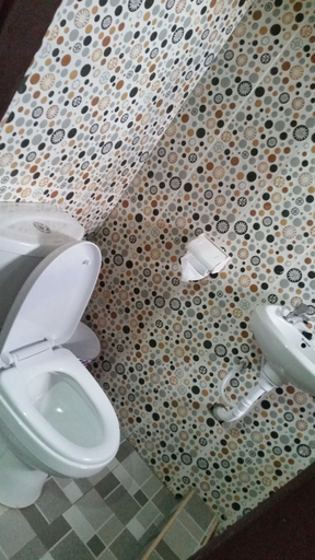 Bathroom 3, Mac-P Guesthouse, Akwapim South