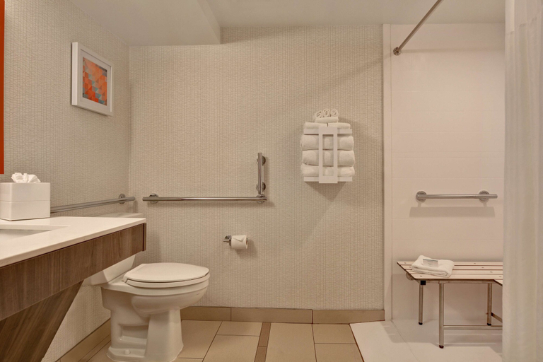 Bathroom 4, Hampton Inn Anderson, Anderson