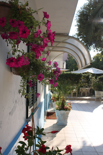 Others 4, Hotel Ornella, Lucca