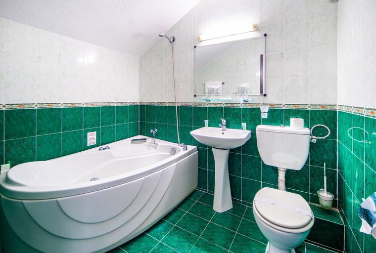 Bathroom 4, Dolna Bania Hotel, Dolna Banya