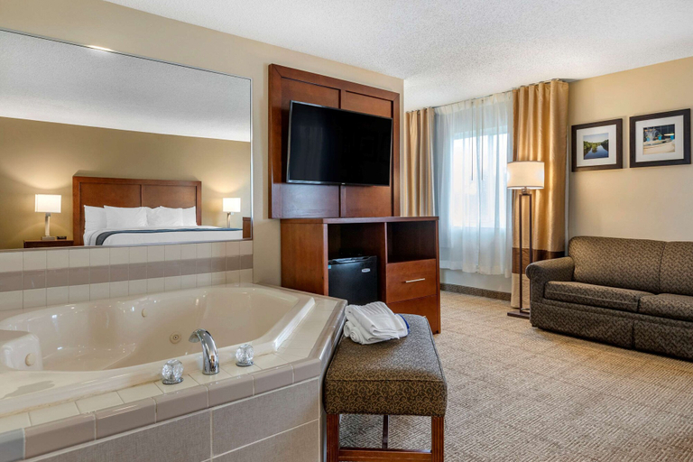 Bathroom 4, Comfort Inn & Suites Diamondale – Lansing, Eaton