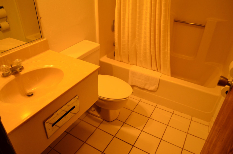Bathroom, Luxury Inn & Suites, Lancaster