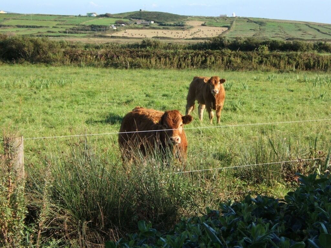 Others 4, Glencarrig Farmhouse B&B