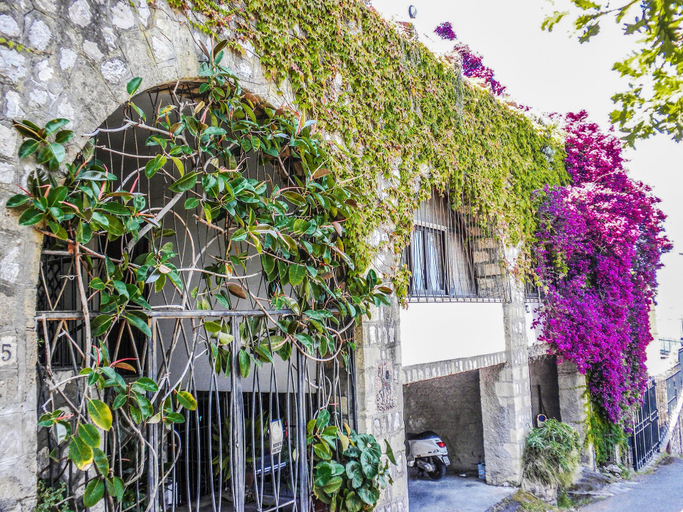 Exterior & Views, Casa Marisa, Napoli