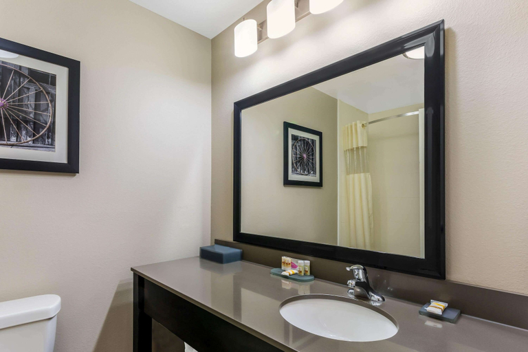 Bathroom 4, La Quinta Inn & Suites by Wyndham Monahans, Ward