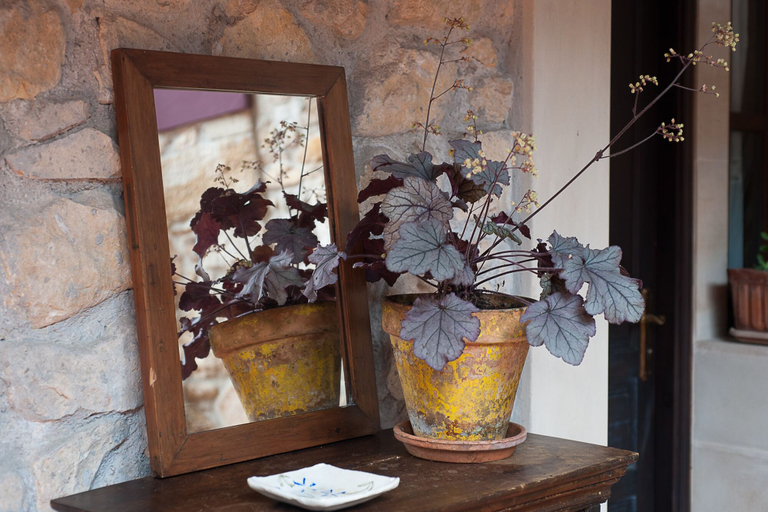 Food & Drinks 5, Hotel Corru San Pumés, Asturias