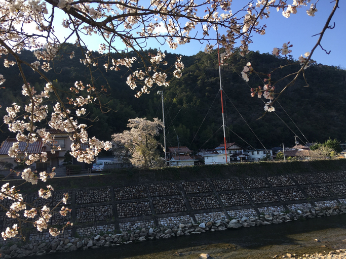 Others 5, Minsyuku Satoyama, Tsuwano