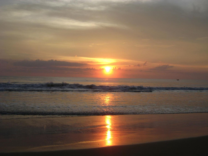 Others 5, Jickys Nest, Thiruvananthapuram