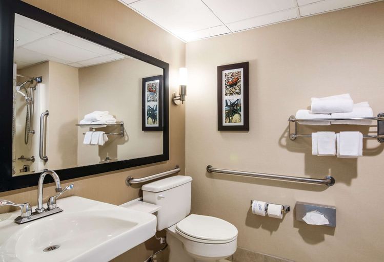 Bathroom 5, Clarion Pointe Jamestown - Falconer, Chautauqua