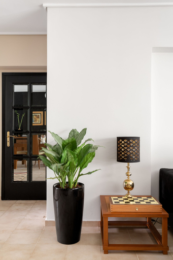 Others 4, Fresh Detailed Stylish Apt at Acropolis, Attica