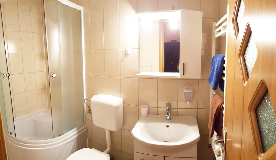 Bathroom 3, VILA ALFA DUMBRAVA, Sibiu