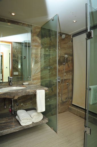 Bathroom 2, The Grand Bhagwati, Ahmadabad