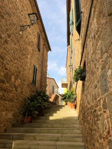 Exterior & Views 2, Villa Ambretta in Campagnatico, Grosseto