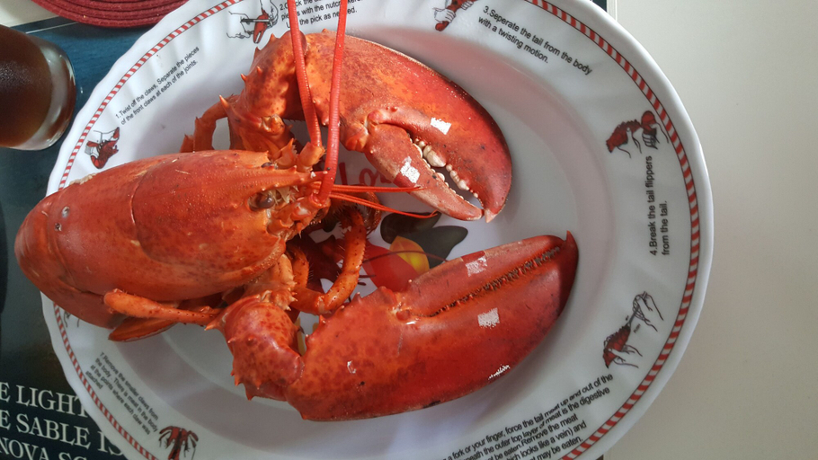 Food & Drinks 5, Mamas by the sea B&B, Shelburne