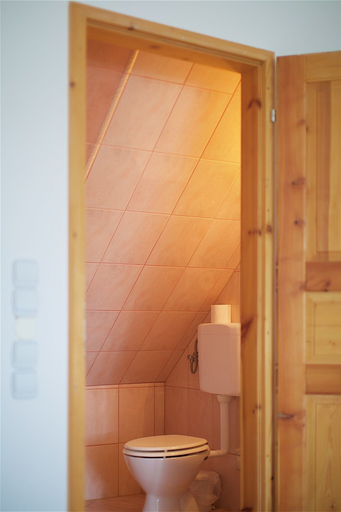 Bathroom 3, Tourist Farm Lovrec, Destrnik