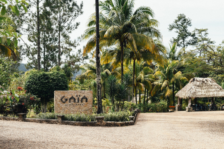Exterior & Views 2, Gaia Riverlodge