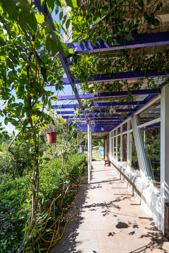 Others 5, Julie's Garden, Nantou