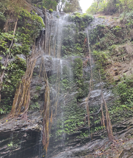 Others 4, Paradise Wild Hills, Shimoga