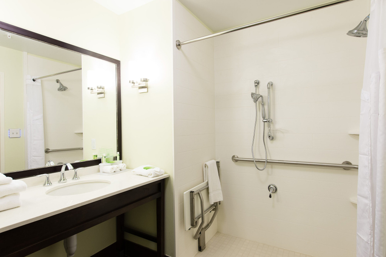 Bathroom 5, Holiday Inn Express & Suites AIKEN by IHG, Aiken