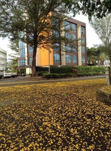 Exterior & Views 5, The Orchid Hotel, Sibu