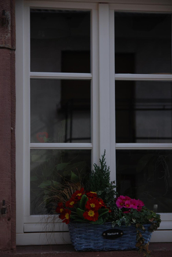 Others 5, Gite Clos Angelique, Moselle
