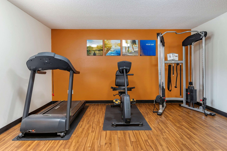 Others 5, Comfort Inn & Suites Diamondale – Lansing, Eaton